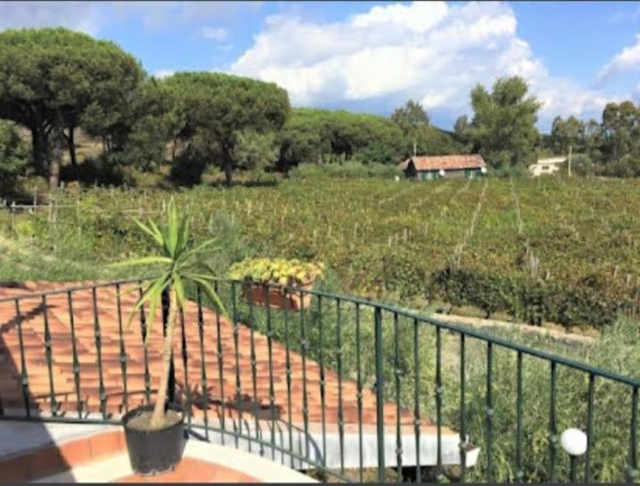 Beb Casale Pompei Rendine Villa Boscotrecase Luaran gambar