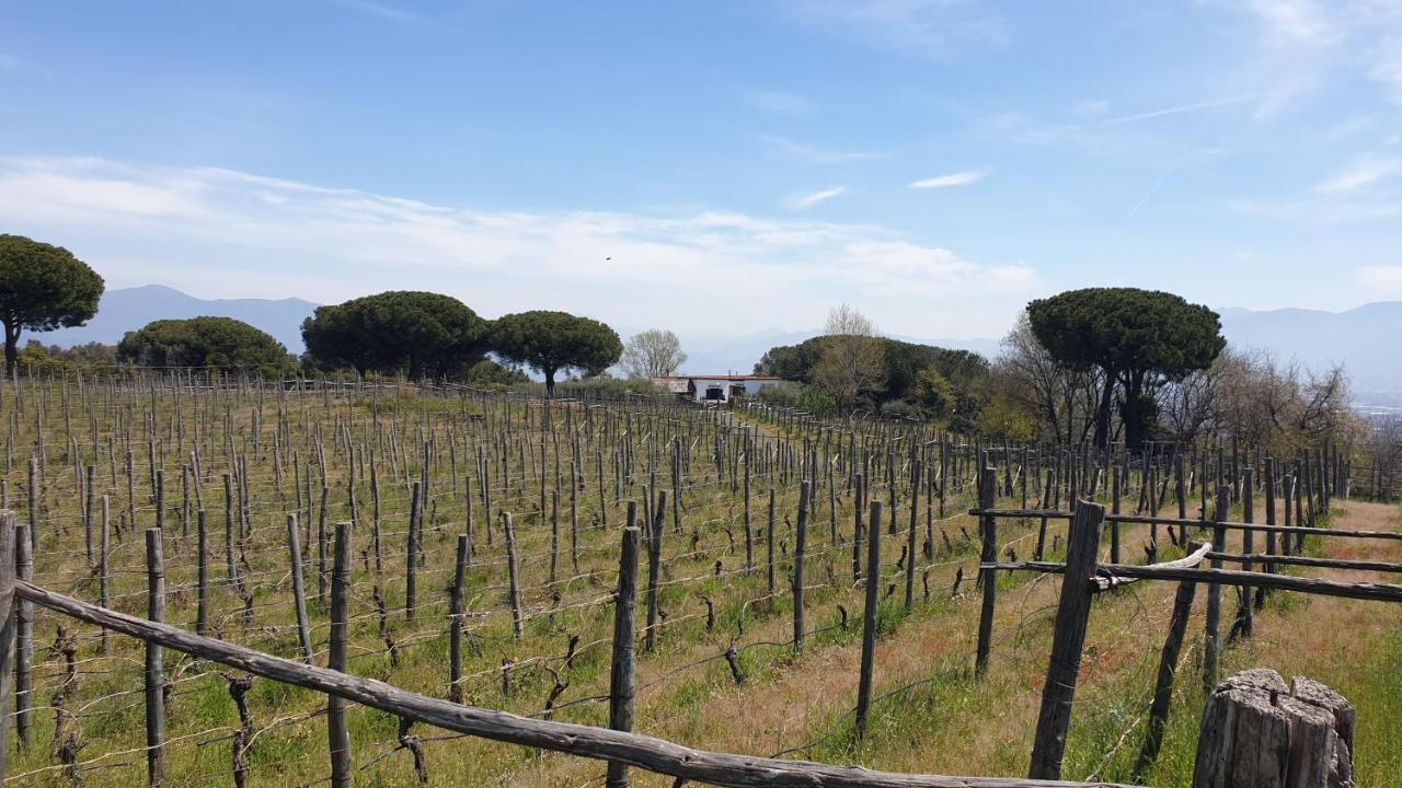 Beb Casale Pompei Rendine Villa Boscotrecase Luaran gambar