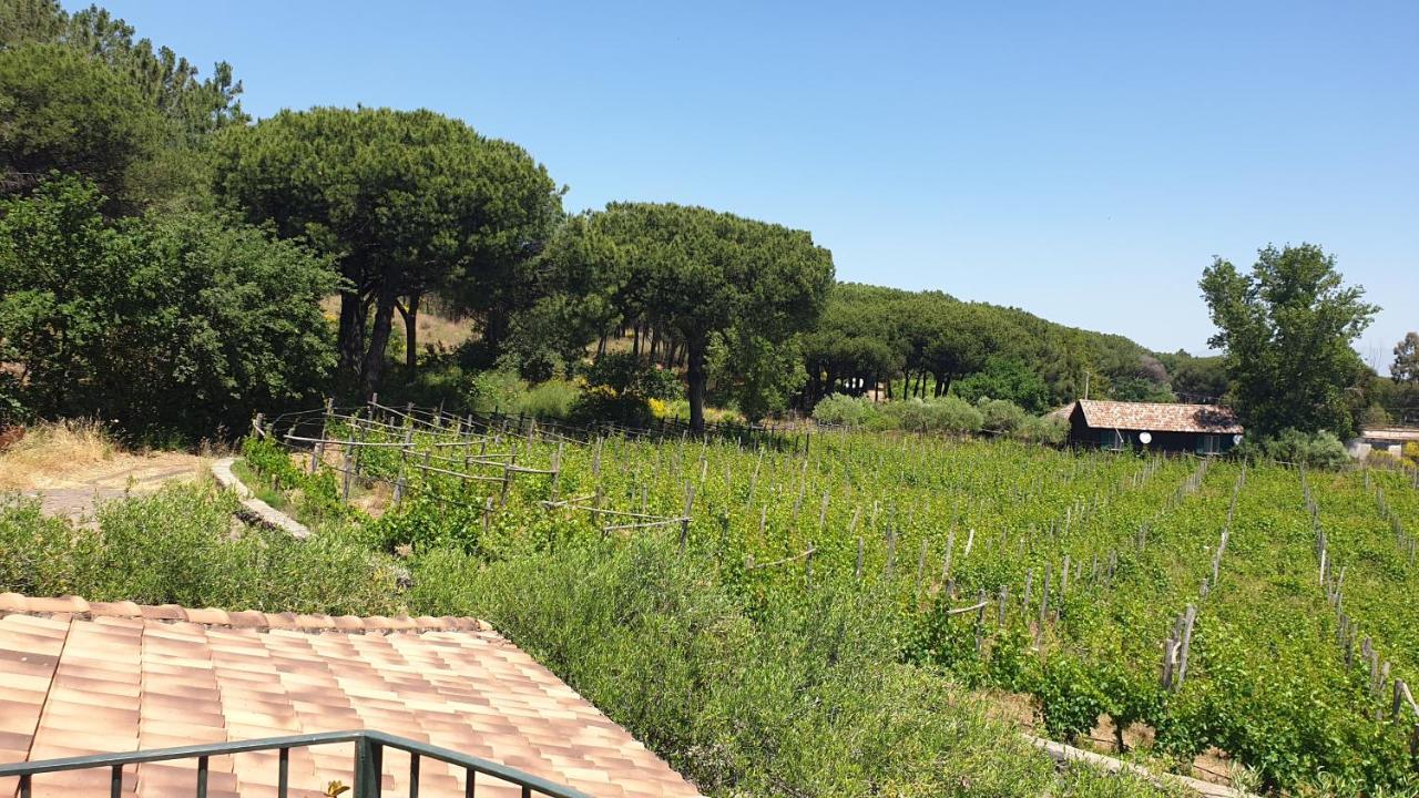 Beb Casale Pompei Rendine Villa Boscotrecase Luaran gambar