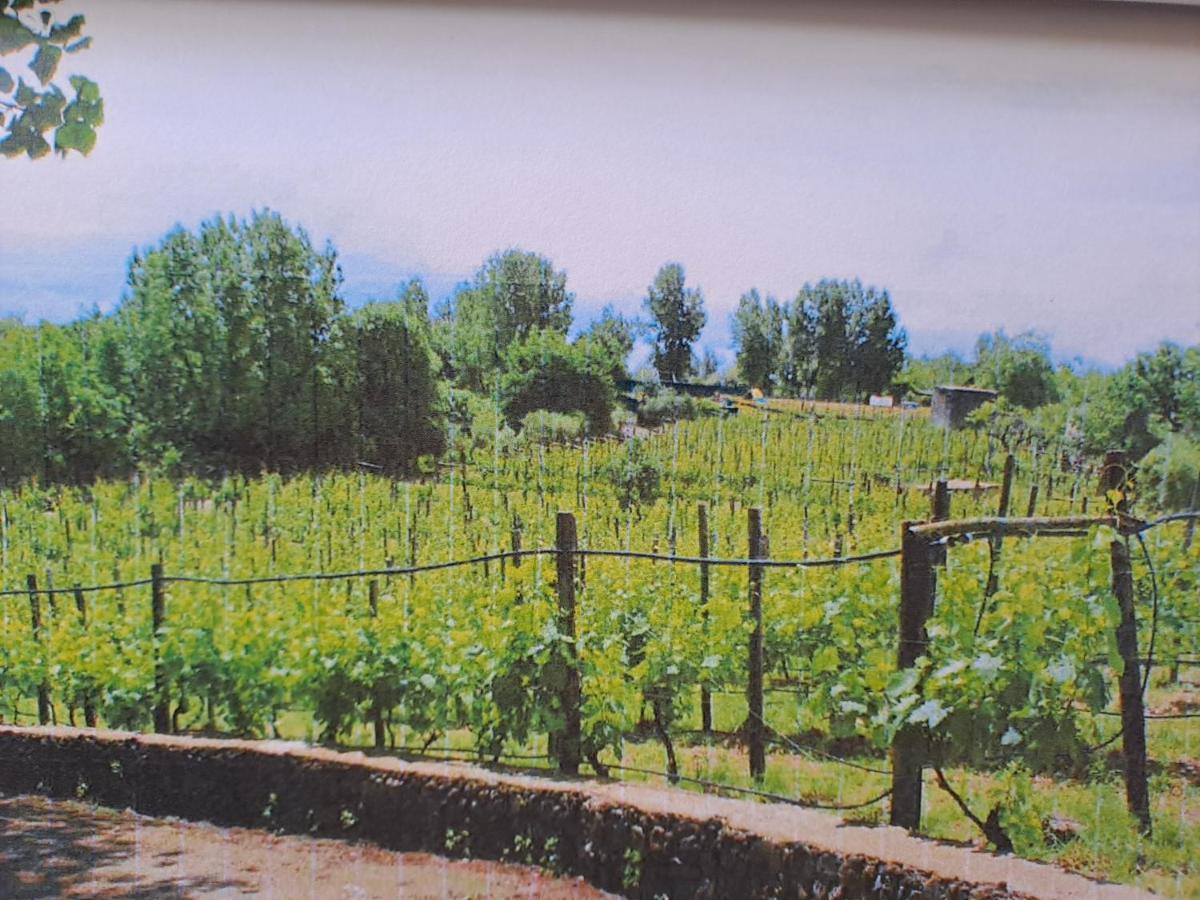 Beb Casale Pompei Rendine Villa Boscotrecase Luaran gambar