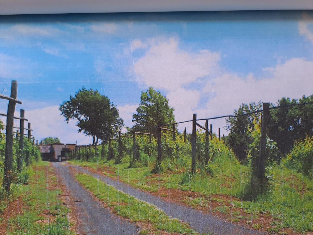 Beb Casale Pompei Rendine Villa Boscotrecase Luaran gambar
