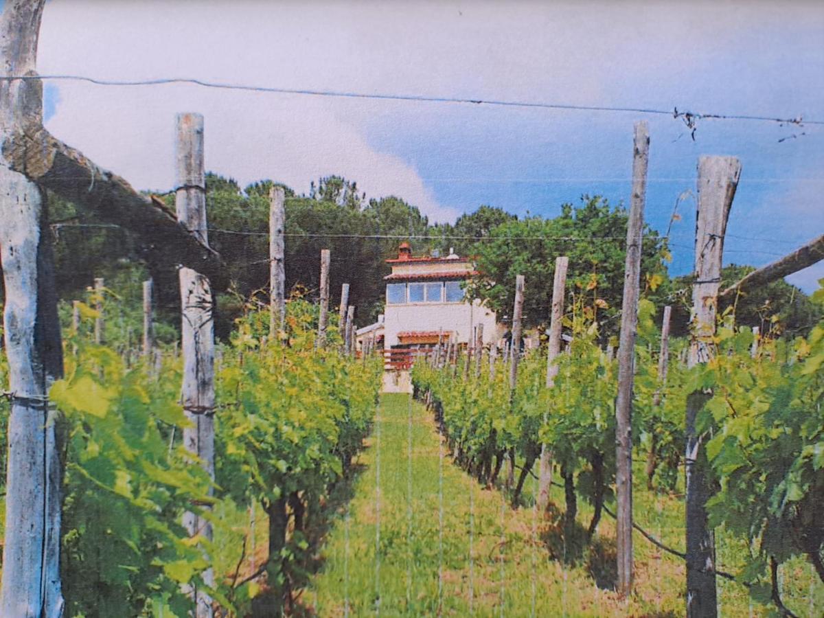 Beb Casale Pompei Rendine Villa Boscotrecase Luaran gambar